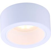Arte Lamp A5553PL-1WH Effetto Точечный накладной светильник GX53