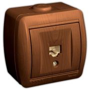 LEZARD Розетка Компютерная О/П сосна 710-0800-139