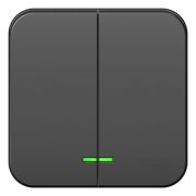 Blanca Выключатель 2-кл. с подсветкой О/П 10А, 250B, изолир пластина Антрацит BLNVA105116