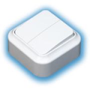 Выключатель 2-клавишный открытой проводки IP20 А56-134 Пралеска