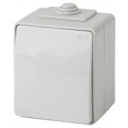 ЭРА Эксперт Выключатель одноклавишный ОУ IP65 10АХ-250В серый 11-1601-03