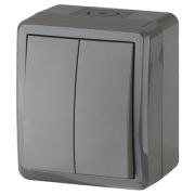 ЭРА Эксперт Выключатель двухклавишный ОУ IP54 10АХ-250В серый 11-1404-03