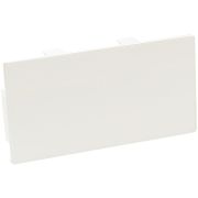 Заглушка торцевая для кабельного канала SPL 100х50  100002S