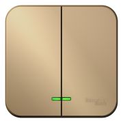 Blanca Выключатель 2-кл. с подсветкой О/П 10А, 250B, изолир пластина Титан BLNVA105114