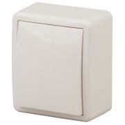 ЭРА Эксперт Выключатель с подсветкой 10А ОУ сл.кость IP20 11-1202-02