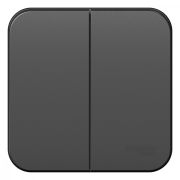 Blanca Выключатель 2-кл. О/П 10А, 250B, изолир пластина Антрацит BLNVA105016