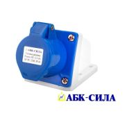 Розетка стационарная НТ TYP-113  16А/220В/2р+Е