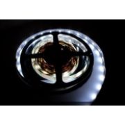 Светодиодная лента стандарт 4,8 Вт/м, SMD3528, 60 LED/м, 12В, IP20, Холодный белый