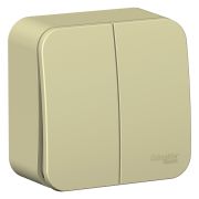 Blanca Выключатель 2-кл. О/П (cх.5) изол. пл, 10А, 250B, Бежевый BLNVA105017