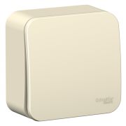 Blanca Выключатель 1-кл. О/П 6А, 250В, изолир. пластина Молочный BLNVA061012