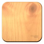 Blanca Выключатель 1-кл. О/П 10А, 250B, изолир пластина Ясень BLNVA101015