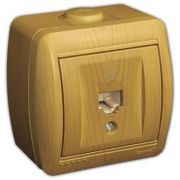 LEZARD Розетка компьютерная 1-ая О/П ольха 710-0700-139