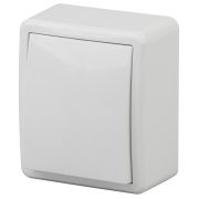 ЭРА Эксперт Выключатель с подсветкой 10А ОУ белый IP20 11-1202-01