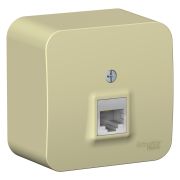 Blanca Розетка компьютерная 1-ая RJ45, кат.5E, О/П изолир. пластина Бежевый BLNIA045007