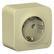 Blanca Розетка 1-ая с/з без шторок.16А, 250В, изолирующая пластина Бежевый BLNRA010117