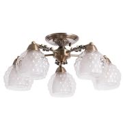 Arte Lamp MALINA Потолочные светильники A7695PL-5AB