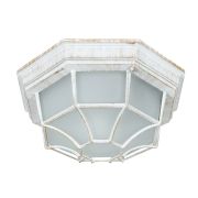 Arte Lamp A3121PF-1WG Pegasus Уличный потолочный светильник