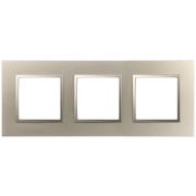 ЭРА 14-5013-04 Elegance Classic Шампань 3-ая Рамка