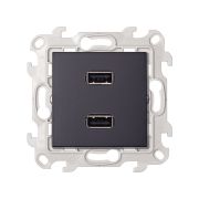 Simon 24 Графит Коннектор 2хUSB 2.0 тип A