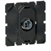 Legrand Celiane Мех TV розетка единственная разъём «папа» 2 мод  067382