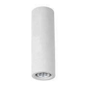 Arte Lamp TUBO Потолочные светильники A9267PL-1WH