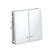 Systeme Electric ArtGallery Лотос Выключатель 2-клавишный с подсветкой, сх.5а, 10АХ, механизм