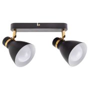 Arte Lamp A5047PL-2BK Светильник потолочный FAFNIR