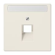 JUNG LS 990 Бежевая Накладка 1-ой наклонной ТЛФ/комп розетки с полем для надписи