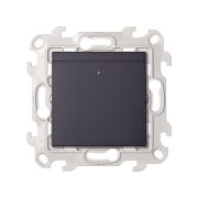 Simon 24 Графит Карточный выключатель