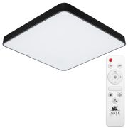 Arte Lamp A2669PL-1BK Scena Потолочный светильник LED 100W 4000K