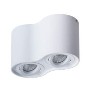 Arte Lamp A5645PL-2WH Falcon Потолочный светильник