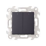 Simon 24 Графит Двухклавишный выключатель с подсветкой