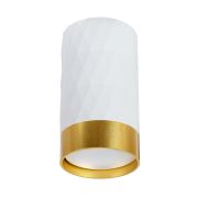 Arte Lamp A5558PL-1WH FANG Точечный накладной светильник GU10