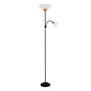 Arte Lamp A9569PN-2BK DUETTO Светильник напольный