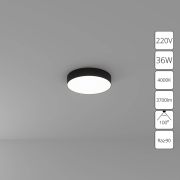 Arte Lamp A6635PL-1BK СВЕТИЛЬНИК ПОТОЛОЧНЫЙ FADO 300мм 35Вт 2800Лм 4000К