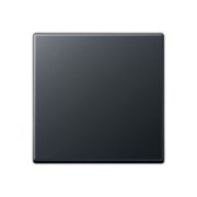 JUNG EcoProfi Антрацит Клавиша 1-ая