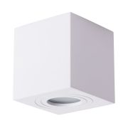 Arte Lamp A1461PL-1WH Galopin Точечный накладной светильник