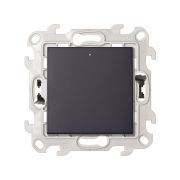 Simon 24 Графит Кнопочный выключатель с подсветкой 10A 250В~