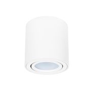 Arte Lamp A1513PL-1WH BEID Светильник потолочный, белый