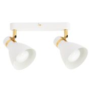 Arte Lamp A5047PL-2WH Светильник потолочный FAFNIR