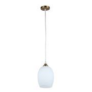 Arte Lamp A4344SP-1PB Подвесной светильник PROPUS