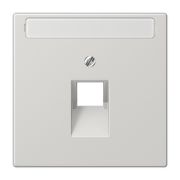 JUNG LS 990 Светло-серая Накладка 1-ой наклонной ТЛФ/комп розетки с полем для надписи