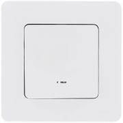 Legrand/Daccord INSPIRIA Белый Переключатель одноклавишный с подсветкой/индикацией 10 AX - 250 В