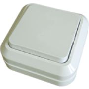 Выключатель одноклавишный 10А белый Олимп О0021