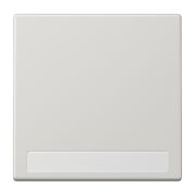 JUNG LS 990 Светло-серая Клавиша 1-ая с полем для надписи