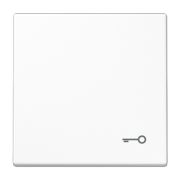 JUNG LS 990 Белая Клавиша 1-ая с символом КЛЮЧ