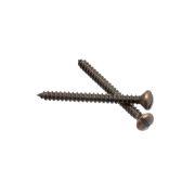 BIRONI Металл Бронза Саморез для установки выключателей и изоляторов 2шт/уп B-913-32-2