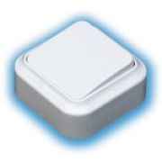 Выключатель 1-клавишный проходной открытой проводки IP20 А610-147 Пралеска