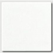 JUNG Заглушка с опорной пластиной белая A594-0WW